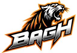 Bet on Cricket games in the BJ Baji live platform